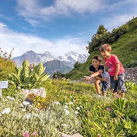 Schynige Platte Hotel Gsteigwiler