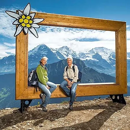 Schynige Platte *