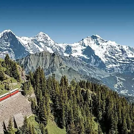 Schynige Platte *