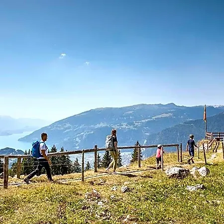 Schynige Platte *