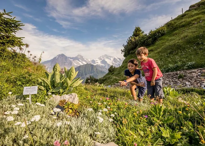 Hotel Schynige Platte