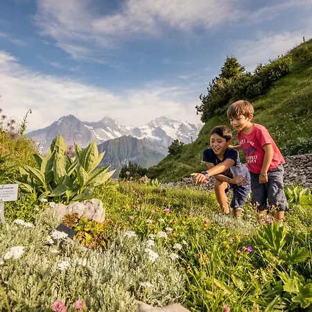 Hotell Schynige Platte
