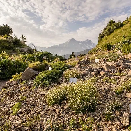 Schynige Platte Hotell Gsteigwiler