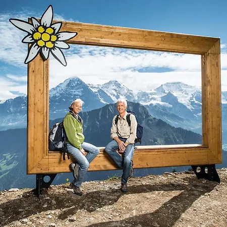 Schynige Platte